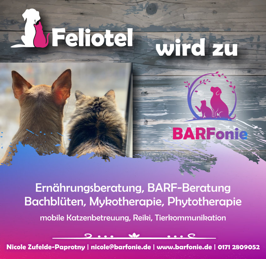Rescue Tropfen für Hunde und Katzen BARFonie Ernährungsberatung für