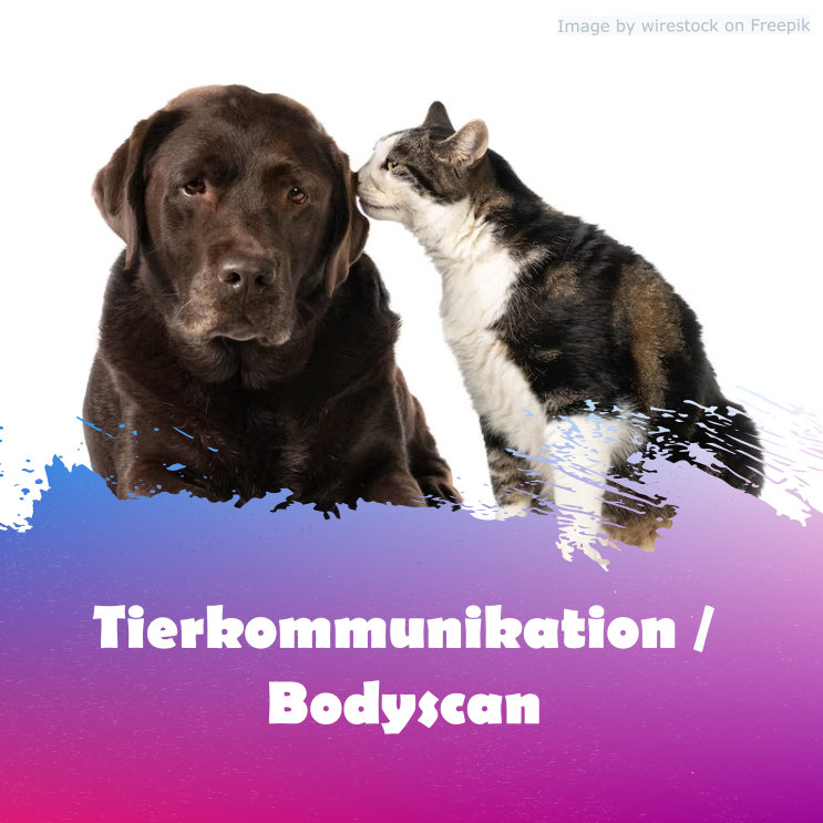 Tierkommunikation und Bodyscan